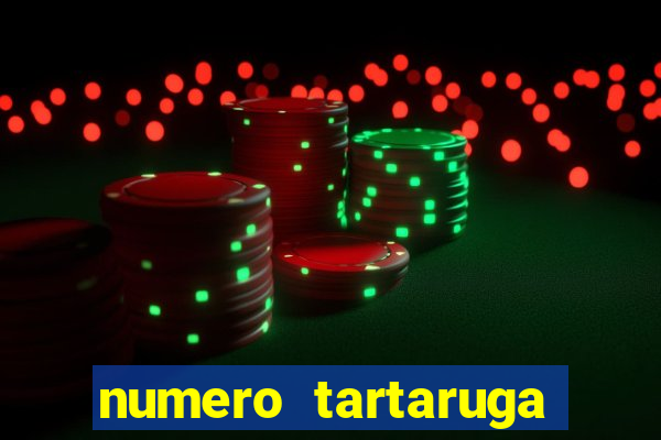 numero tartaruga jogo do bicho